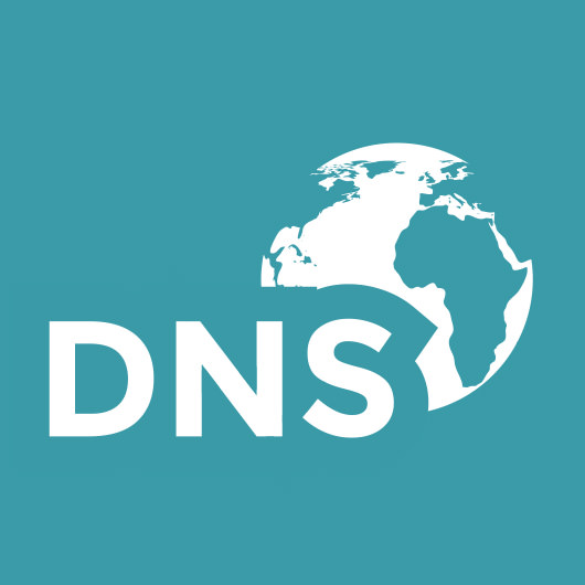 DNS های دامنه در ایرنیک
